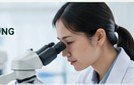 Chuyên gia kiểm nghiệm sữa bằng kính hiển vi